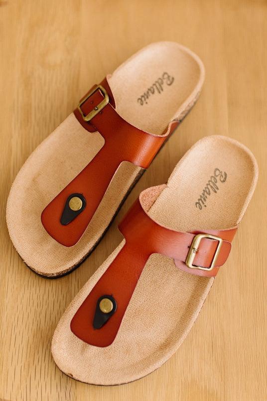 A pair of brown leather thong sandals with gold-tone buckles and a black accent, displayed on a light wood background. The brand name 'Ellie & Eve' is printed on the insoles.
