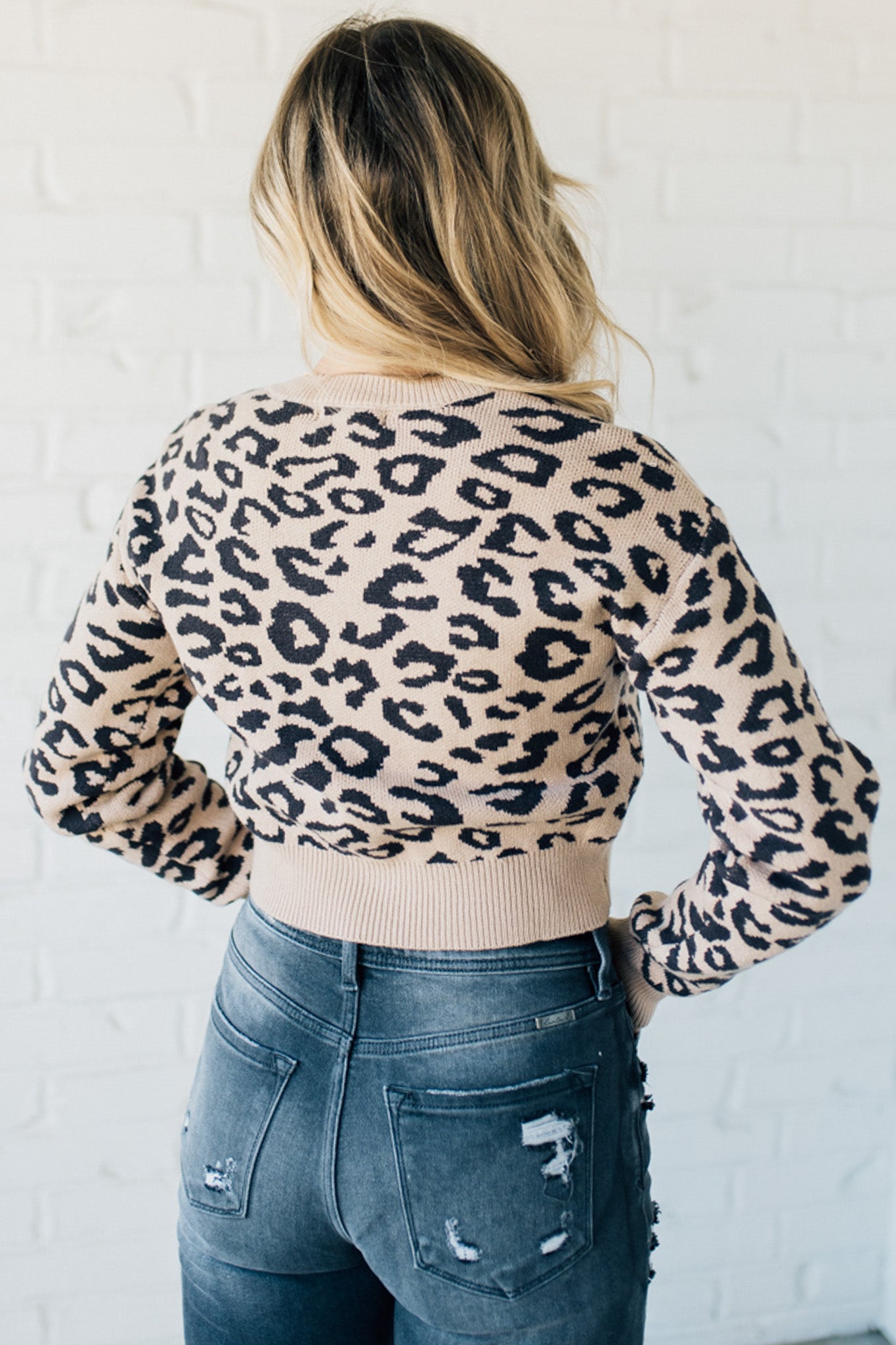 Cropped Animal Print Cardigan